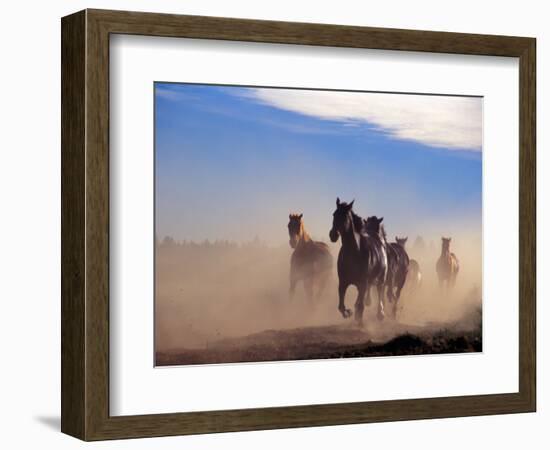 Wild Horses in the High Desert near Sun River, Oregon, USA-Janis Miglavs-Framed Photographic Print