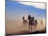 Wild Horses in the High Desert near Sun River, Oregon, USA-Janis Miglavs-Mounted Photographic Print