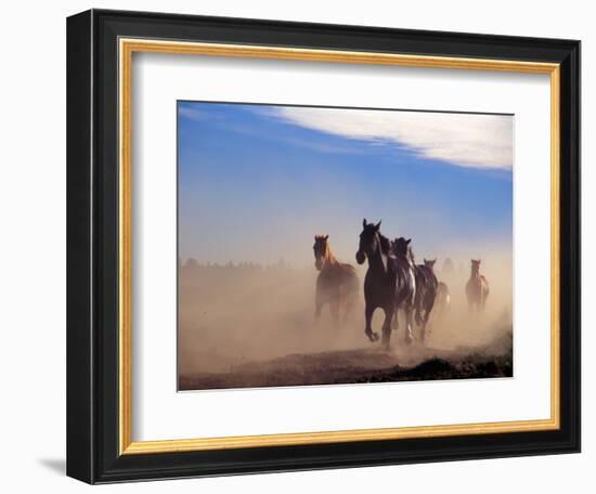 Wild Horses in the High Desert near Sun River, Oregon, USA-Janis Miglavs-Framed Photographic Print