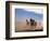 Wild Horses in the High Desert near Sun River, Oregon, USA-Janis Miglavs-Framed Photographic Print