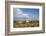 Wild Horses in Theodore Roosevelt National Park, North Dakota, Usa-Chuck Haney-Framed Photographic Print