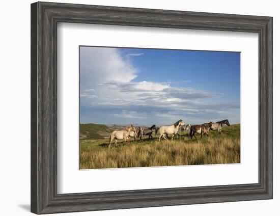 Wild Horses in Theodore Roosevelt National Park, North Dakota, Usa-Chuck Haney-Framed Photographic Print