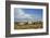 Wild Horses in Theodore Roosevelt National Park, North Dakota, Usa-Chuck Haney-Framed Photographic Print