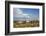 Wild Horses in Theodore Roosevelt National Park, North Dakota, Usa-Chuck Haney-Framed Photographic Print