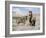 Wild Horses, Red Roan Stallion with Foal in Sagebrush-Steppe Landscape, Adobe Town, Wyoming, USA-Carol Walker-Framed Photographic Print