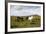 Wild Horses, Reykjanes Peninsula, Iceland, Polar Regions-Yadid Levy-Framed Photographic Print