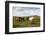 Wild Horses, Reykjanes Peninsula, Iceland, Polar Regions-Yadid Levy-Framed Premium Photographic Print