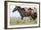 Wild Horses Running, Carbon County, Wyoming-Cathy & Gordon Illg-Framed Art Print