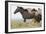 Wild Horses Running, Carbon County, Wyoming-Cathy & Gordon Illg-Framed Art Print