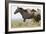 Wild Horses Running, Carbon County, Wyoming-Cathy & Gordon Illg-Framed Art Print