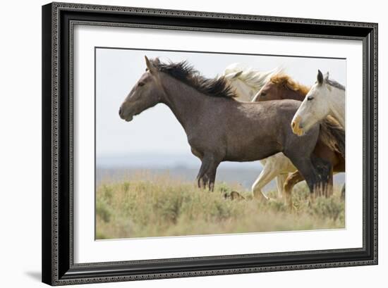 Wild Horses Running, Carbon County, Wyoming-Cathy & Gordon Illg-Framed Art Print