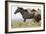 Wild Horses Running, Carbon County, Wyoming-Cathy & Gordon Illg-Framed Art Print