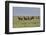 Wild horses running in the Flint Hills-Michael Scheufler-Framed Photographic Print