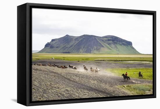 Wild Horses Running, South Iceland, Iceland, Polar Regions-Yadid Levy-Framed Premier Image Canvas