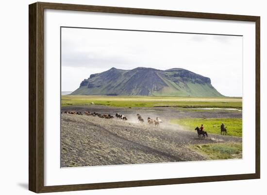 Wild Horses Running, South Iceland, Iceland, Polar Regions-Yadid Levy-Framed Photographic Print