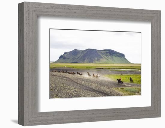 Wild Horses Running, South Iceland, Iceland, Polar Regions-Yadid Levy-Framed Photographic Print