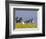 Wild Horses Running, Theodore Roosevelt National Park, North Dakota, USA-Chuck Haney-Framed Photographic Print