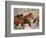 Wild Horses Running Through Desert, CA-Inga Spence-Framed Photographic Print