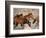 Wild Horses Running Through Desert, CA-Inga Spence-Framed Photographic Print