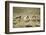 Wild Horses Running-DLILLC-Framed Photographic Print