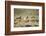 Wild Horses Running-DLILLC-Framed Photographic Print