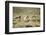 Wild Horses Running-DLILLC-Framed Photographic Print