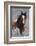 Wild Horses, Steens Mountains-Ken Archer-Framed Photographic Print