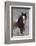 Wild Horses, Steens Mountains-Ken Archer-Framed Photographic Print