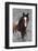 Wild Horses, Steens Mountains-Ken Archer-Framed Photographic Print