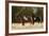 Wild Horses, Steens Mountains-Ken Archer-Framed Photographic Print