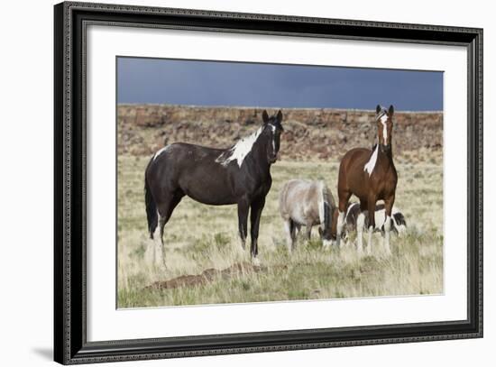 Wild Horses, Steens Mountains-Ken Archer-Framed Photographic Print