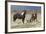 Wild Horses, Steens Mountains-Ken Archer-Framed Photographic Print