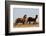 Wild Horses, Steens Mountains-Ken Archer-Framed Photographic Print