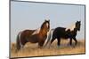 Wild Horses, Steens Mountains-Ken Archer-Mounted Photographic Print