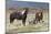 Wild Horses, Steens Mountains-Ken Archer-Mounted Photographic Print