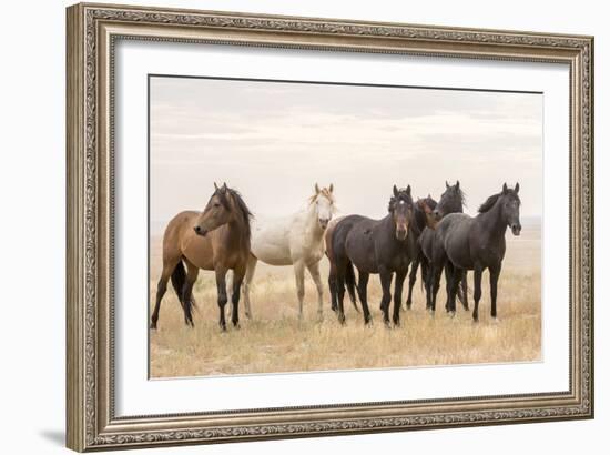 Wild Horses, Tooele County, Utah-Cathy & Gordon Illg-Framed Art Print