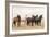 Wild Horses, Tooele County, Utah-Cathy & Gordon Illg-Framed Art Print