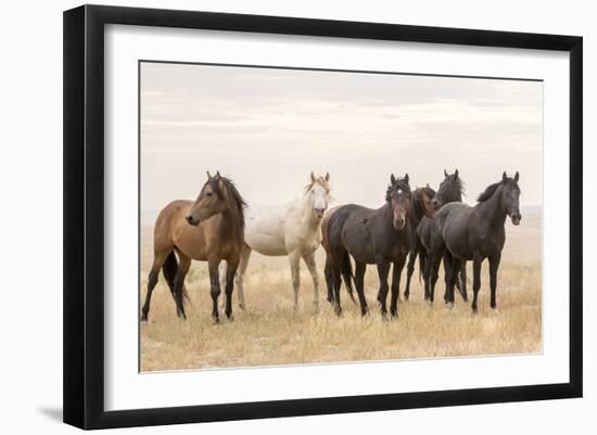 Wild Horses, Tooele County, Utah-Cathy & Gordon Illg-Framed Art Print