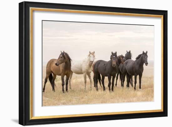 Wild Horses, Tooele County, Utah-Cathy & Gordon Illg-Framed Art Print