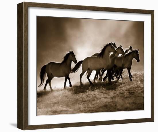 Wild Horses-Lisa Dearing-Framed Art Print