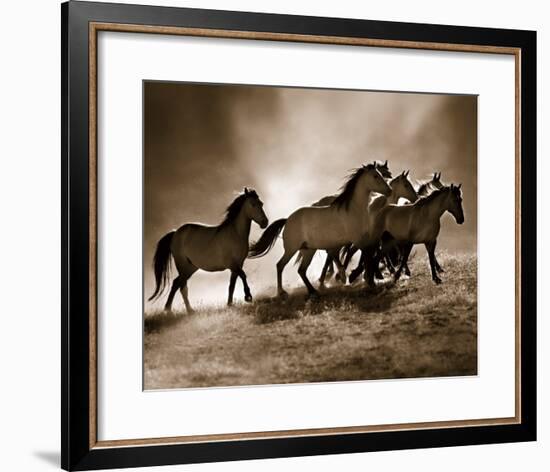 Wild Horses-Lisa Dearing-Framed Art Print