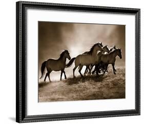 Wild Horses-Lisa Dearing-Framed Art Print