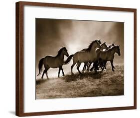 Wild Horses-Lisa Dearing-Framed Art Print