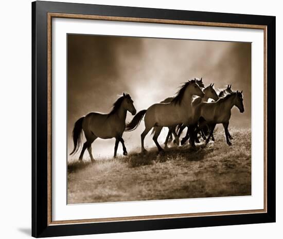 Wild Horses-Lisa Dearing-Framed Art Print