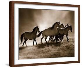 Wild Horses-Lisa Dearing-Framed Art Print