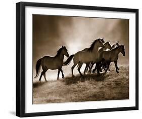Wild Horses-Lisa Dearing-Framed Art Print