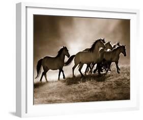 Wild Horses-Lisa Dearing-Framed Art Print