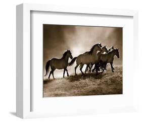 Wild Horses-Lisa Dearing-Framed Art Print