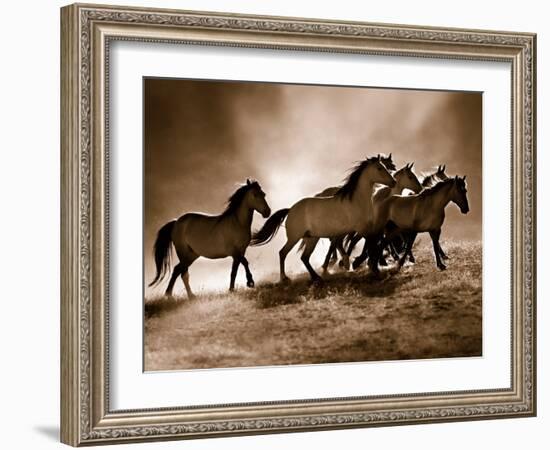 Wild Horses-Lisa Dearing-Framed Photo