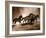 Wild Horses-Lisa Dearing-Framed Photo